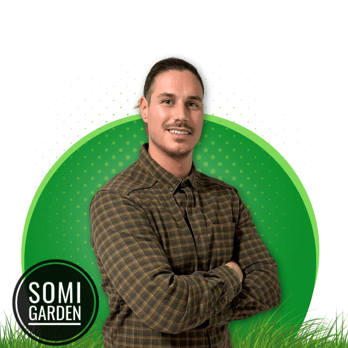 kert, Somi Garden Kft. Somlai Zsolt