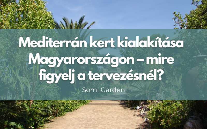 Mediterrán kert kialakítása Magyarországon