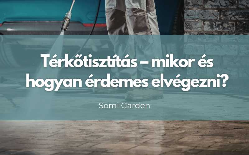 Térkőtisztítás - mikor és hogyan érdemes elvégezni?