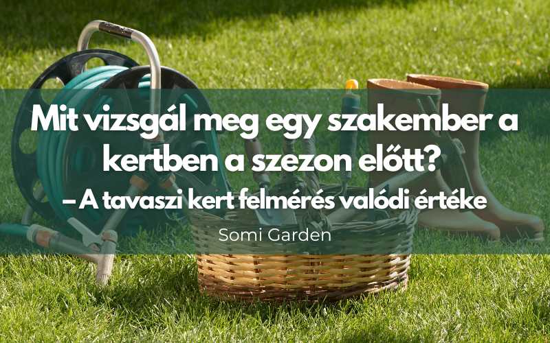 Mit vizsgál meg egy szakember a kertben a szezon előtt? – A tavaszi kert felmérés valódi értéke