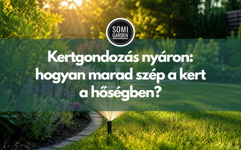 Kertgondozás nyáron: hogyan marad szép a kert a hőségben?