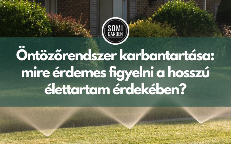 Öntözőrendszer karbantartása: mire érdemes figyelni a hosszú élettartam érdekében?