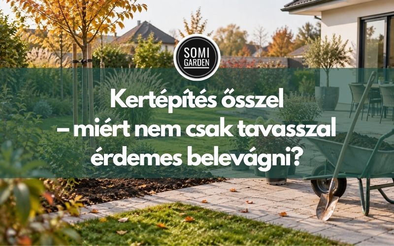 Kertépítés ősszel – miért nem csak tavasszal érdemes belevágni?